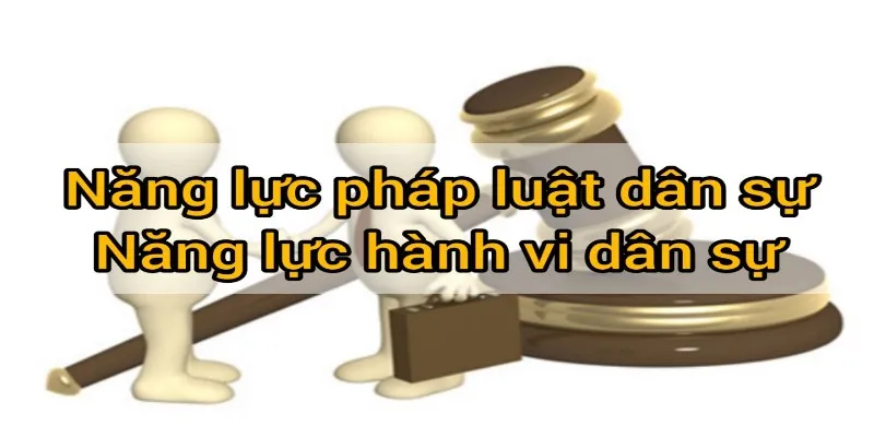 Điều luật cơ bản trong miễn trách nhiệm